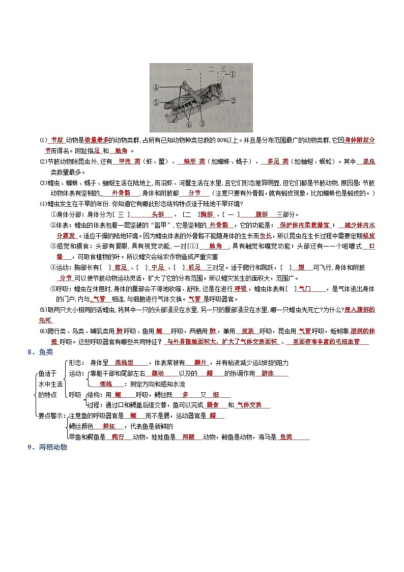 2025年人教版八年级下册会考生物知识梳理知识点讲义专题05 生物圈中的其他生物（背诵版）第3页