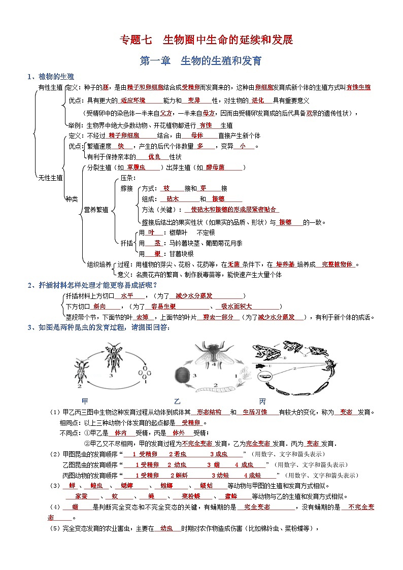 2025年人教版八年级下册会考生物知识梳理知识点讲义专题07 生物圈中生命的延续和发展（背诵版）第1页