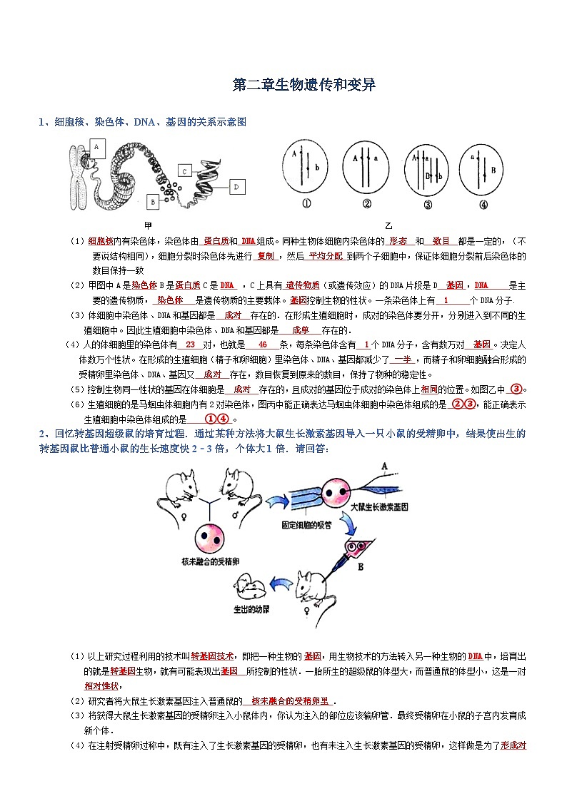 2025年人教版八年级下册会考生物知识梳理知识点讲义专题07 生物圈中生命的延续和发展（背诵版）第3页
