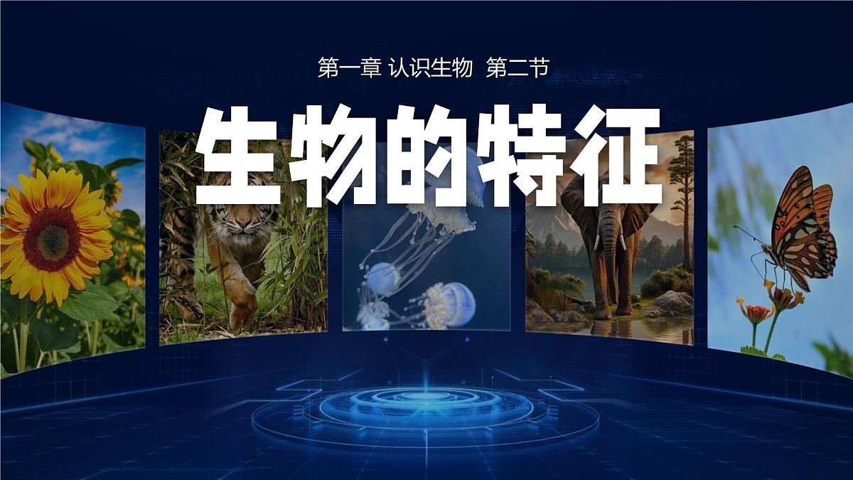 人教版2024七年级上册生物1.1.2 生物的特征 课件第1页