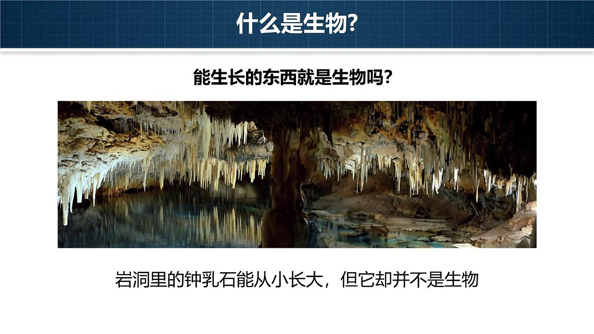 人教版2024七年级上册生物1.1.2 生物的特征 课件第6页