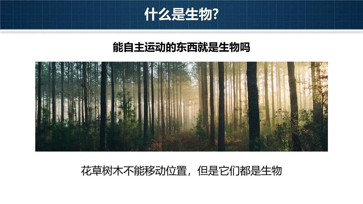人教版2024七年级上册生物1.1.2 生物的特征 课件第7页