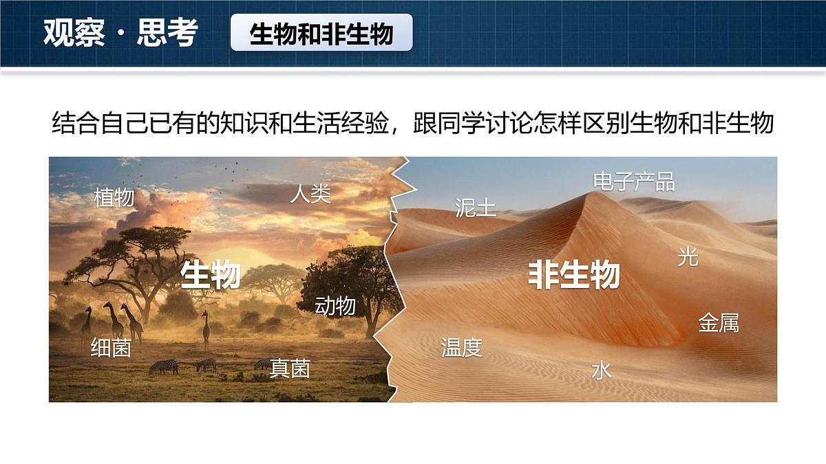 人教版2024七年级上册生物1.1.2 生物的特征 课件第8页