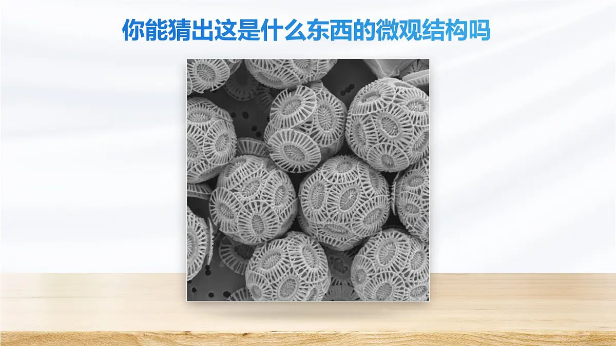 人教版2024七年级上册生物1.2.1 学习使用显微镜 课件第3页