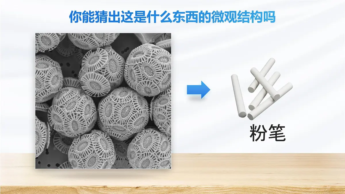 人教版2024七年级上册生物1.2.1 学习使用显微镜 课件第4页