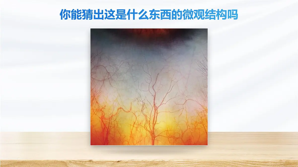 人教版2024七年级上册生物1.2.1 学习使用显微镜 课件第5页