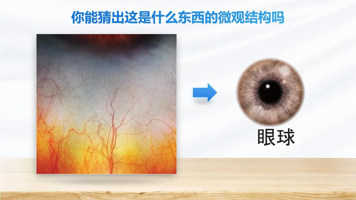 人教版2024七年级上册生物1.2.1 学习使用显微镜 课件第6页