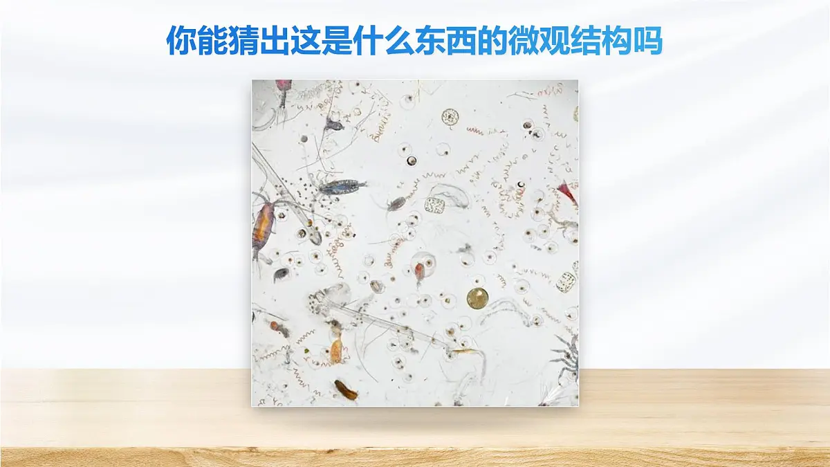 人教版2024七年级上册生物1.2.1 学习使用显微镜 课件第7页