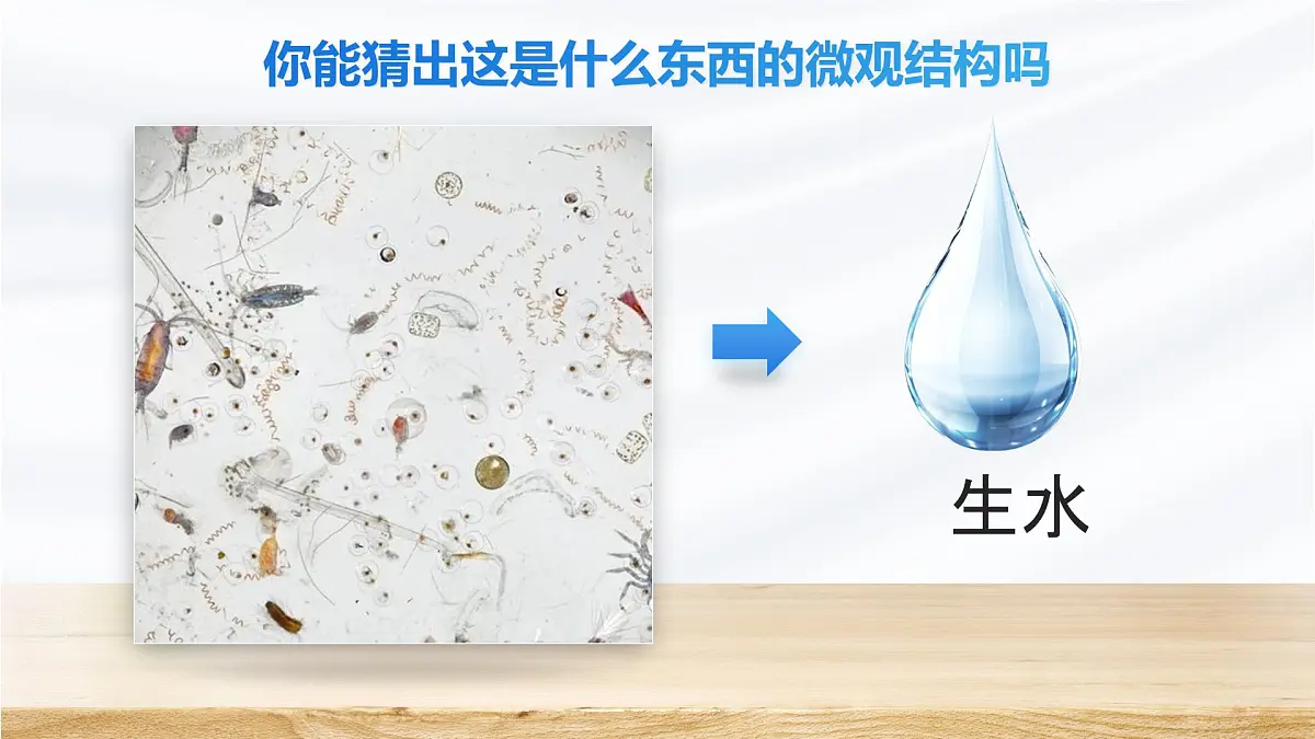 人教版2024七年级上册生物1.2.1 学习使用显微镜 课件第8页