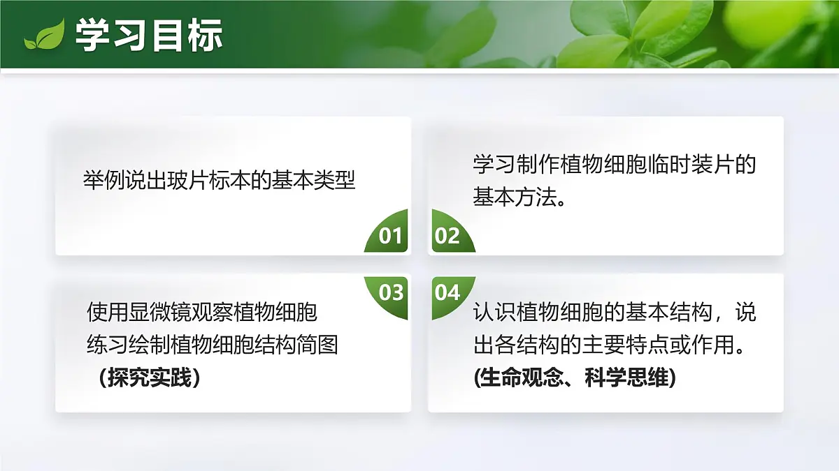 人教版2024七年级上册生物1.2.2 植物细胞 课件第4页