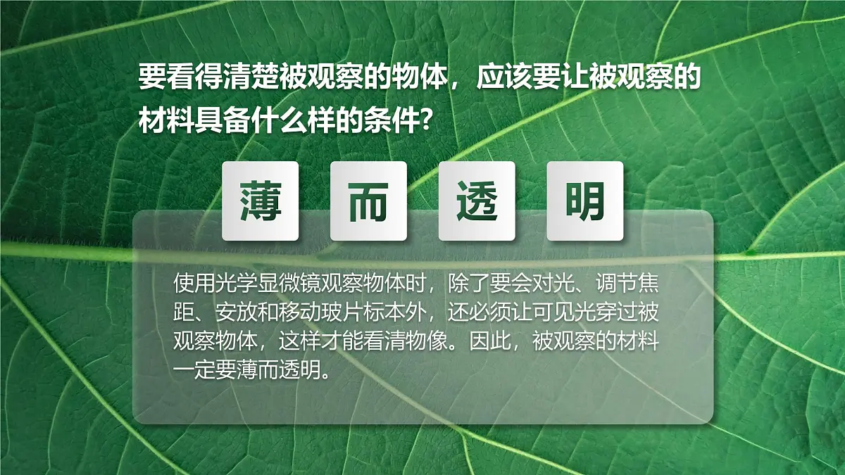 人教版2024七年级上册生物1.2.2 植物细胞 课件第5页