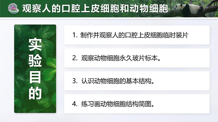 人教版2024七年级上册生物1.2.3 动物细胞 课件第4页