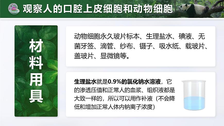 人教版2024七年级上册生物1.2.3 动物细胞 课件第5页