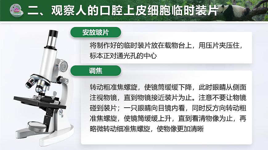 人教版2024七年级上册生物1.2.3 动物细胞 课件第8页