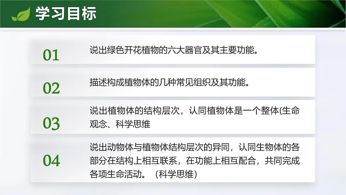人教版2024七年级上册生物1.3.3 植物体的结构层次 课件第4页