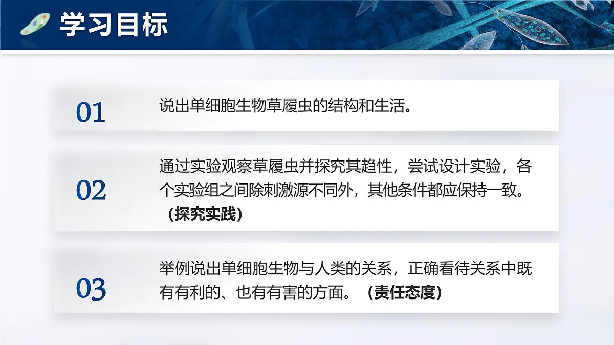 人教版2024七年级上册生物1.3.4 单细胞生物 课件第5页