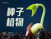 人教版2024七年级上册生物2.1.2 种子植物 课件