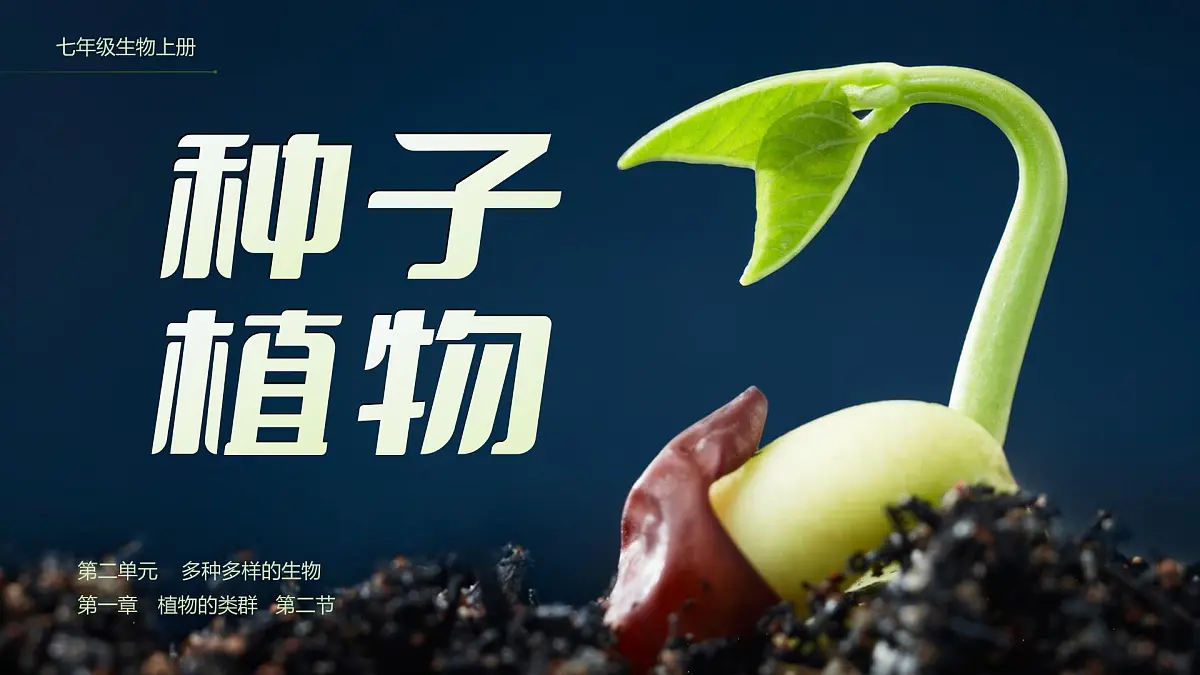 人教版2024七年级上册生物2.1.2 种子植物 课件第1页
