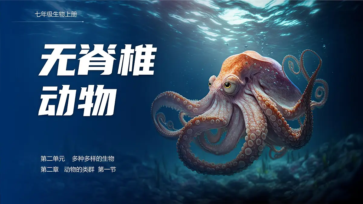 人教版2024七年级上册生物2.2.1 无脊椎动物 课件第1页