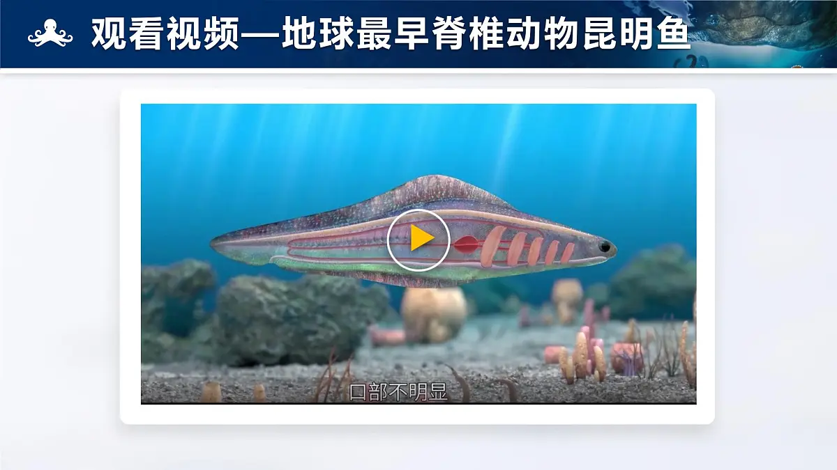 人教版2024七年级上册生物2.2.1 无脊椎动物 课件第2页