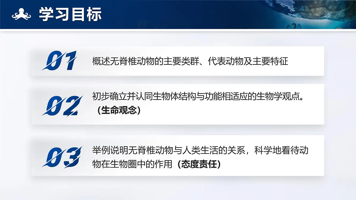 人教版2024七年级上册生物2.2.1 无脊椎动物 课件第3页