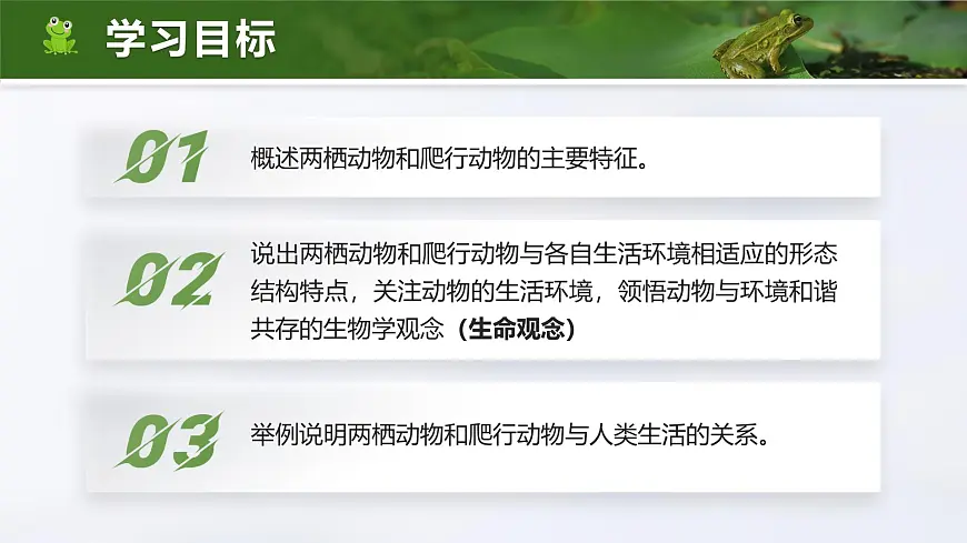 人教版2024七年级上册生物2.2.2 脊椎动物-两栖动物和爬行动物 课件第5页