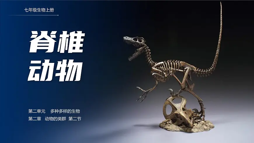 人教版2024七年级上册生物2.2.2 脊椎动物-鱼 课件第1页