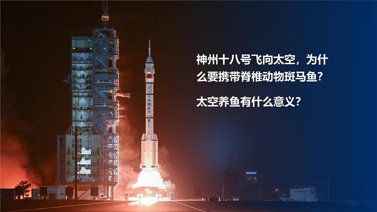 人教版2024七年级上册生物2.2.2 脊椎动物-鱼 课件第3页