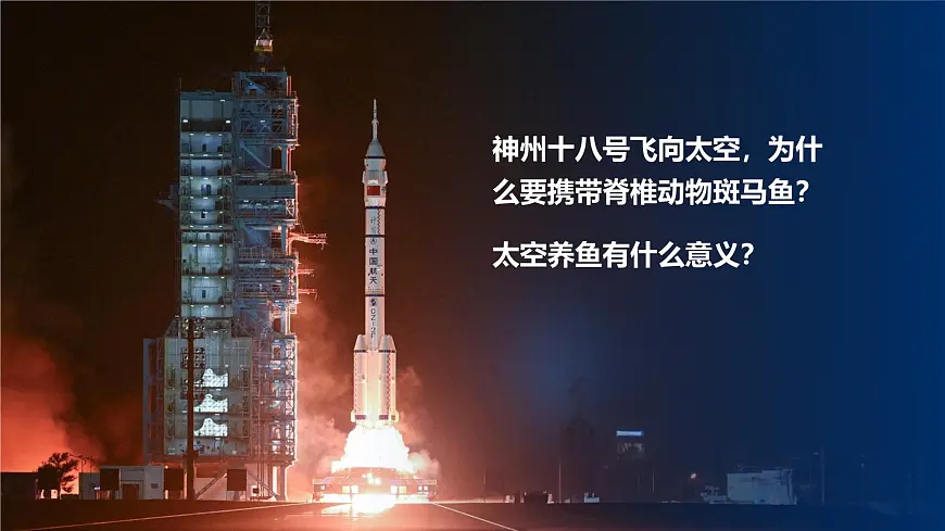 人教版2024七年级上册生物2.2.2 脊椎动物-鱼 课件第3页