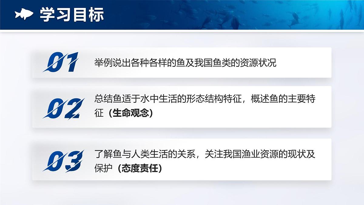 人教版2024七年级上册生物2.2.2 脊椎动物-鱼 课件第5页