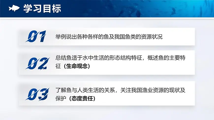 人教版2024七年级上册生物2.2.2 脊椎动物-鱼 课件第5页