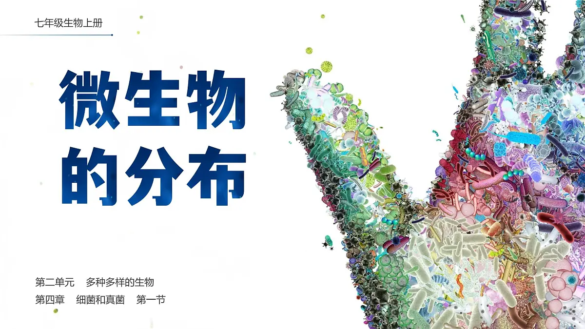 人教版2024七年级上册生物2.3.1微生物的分布 课件第1页