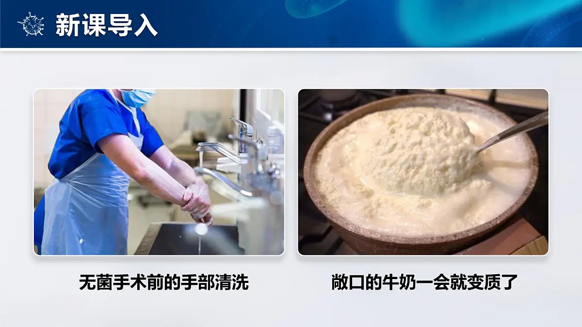 人教版2024七年级上册生物2.3.1微生物的分布 课件第3页