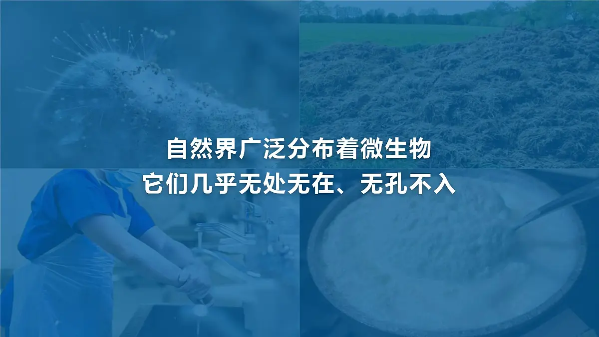 人教版2024七年级上册生物2.3.1微生物的分布 课件第4页
