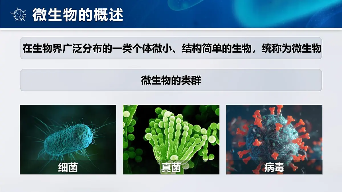 人教版2024七年级上册生物2.3.1微生物的分布 课件第6页