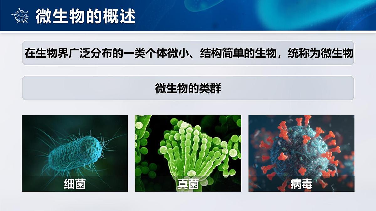 人教版2024七年级上册生物2.3.1微生物的分布 课件第6页