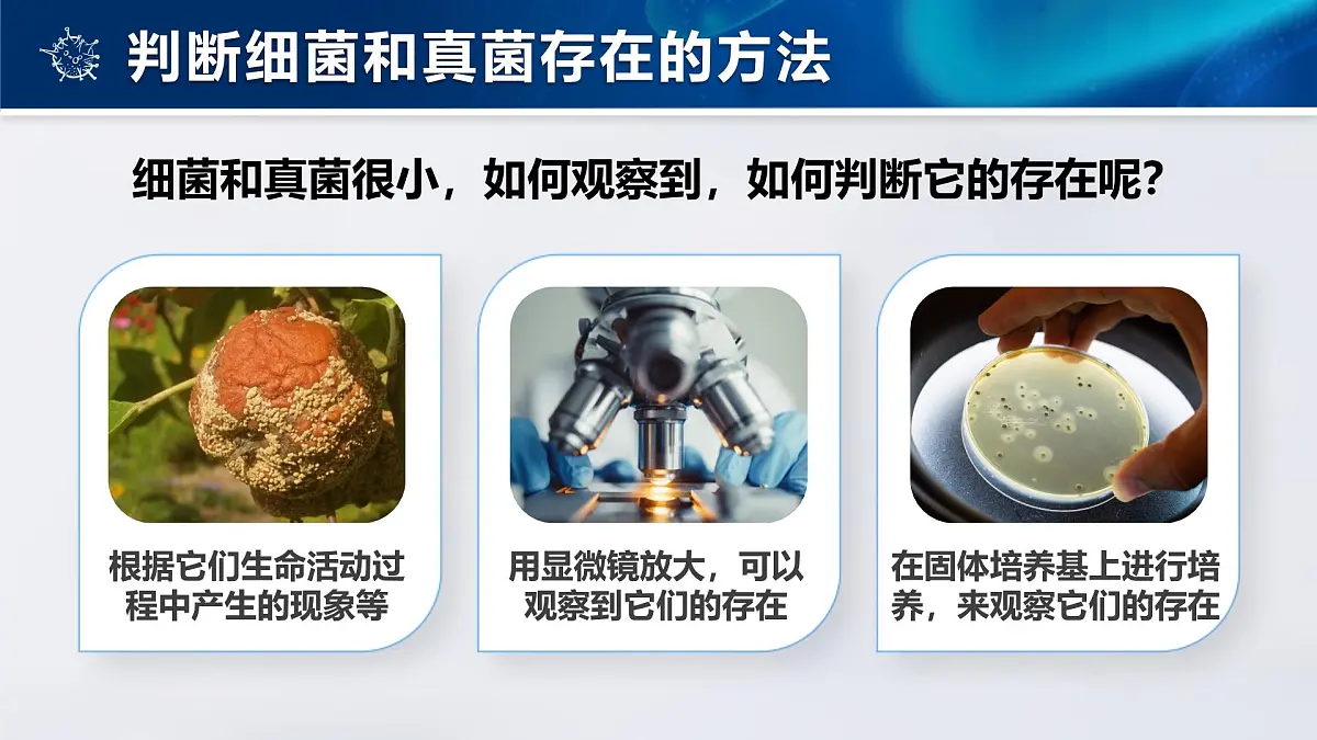 人教版2024七年级上册生物2.3.1微生物的分布 课件第7页