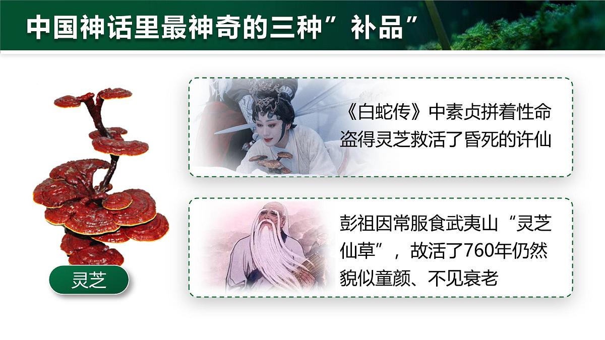 人教版2024七年级上册生物2.3.3 真菌 课件第3页