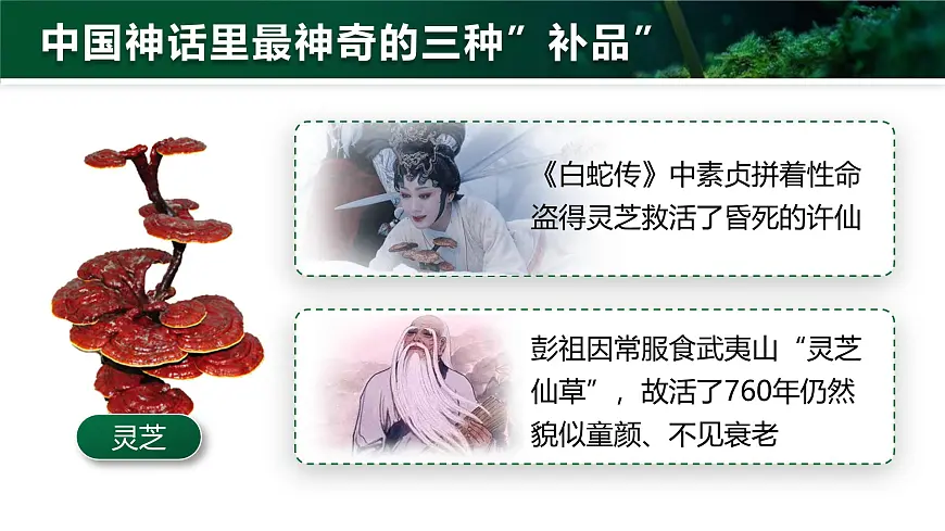 人教版2024七年级上册生物2.3.3 真菌 课件第3页