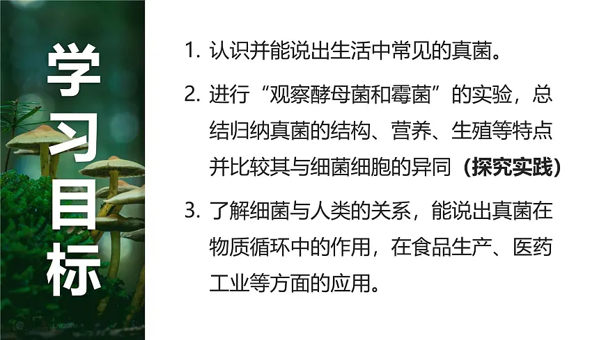 人教版2024七年级上册生物2.3.3 真菌 课件第5页