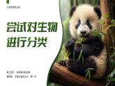 人教版2024七年級(jí)上冊(cè)生物2.4.1 嘗試對(duì)生物進(jìn)行分類(lèi) 課件