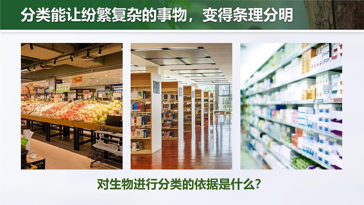 人教版2024七年级上册生物2.4.1 尝试对生物进行分类 课件第5页
