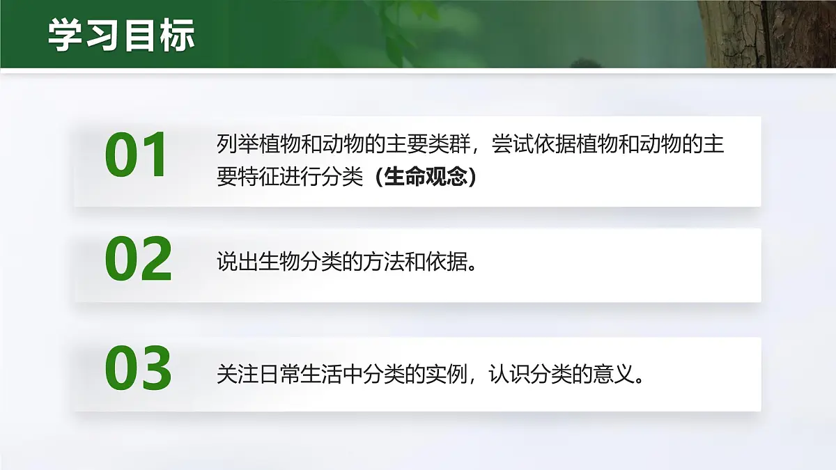 人教版2024七年级上册生物2.4.1 尝试对生物进行分类 课件第6页