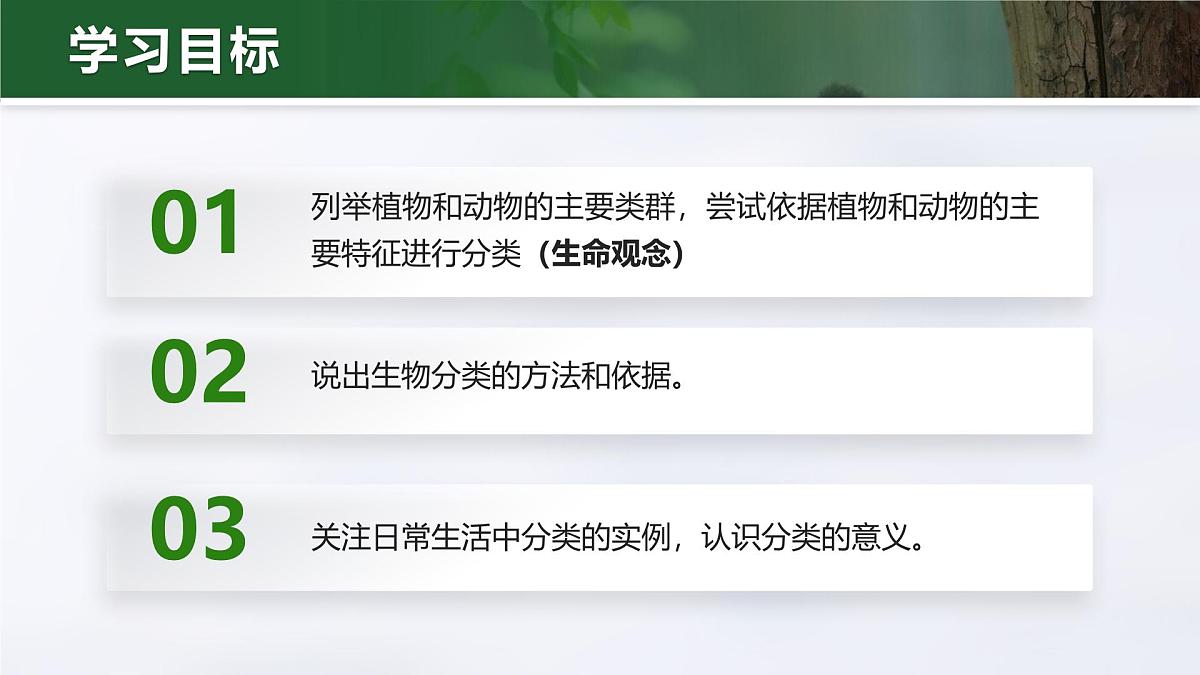 人教版2024七年级上册生物2.4.1 尝试对生物进行分类 课件第6页
