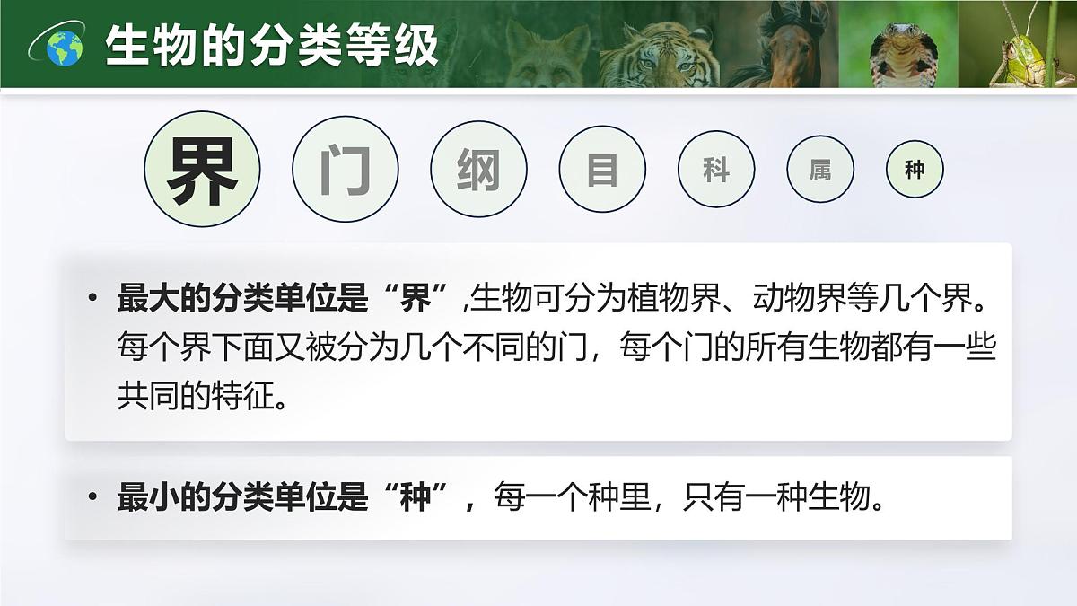 人教版2024七年级上册生物2.4.2 从种到界 课件第5页