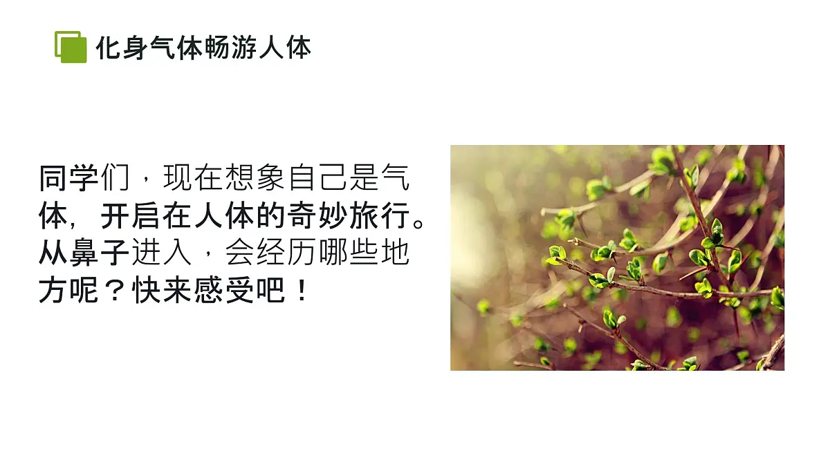 初中生物人教版（2024）七年级下册4.3.2 发生在肺内的气体交换 课件第2页