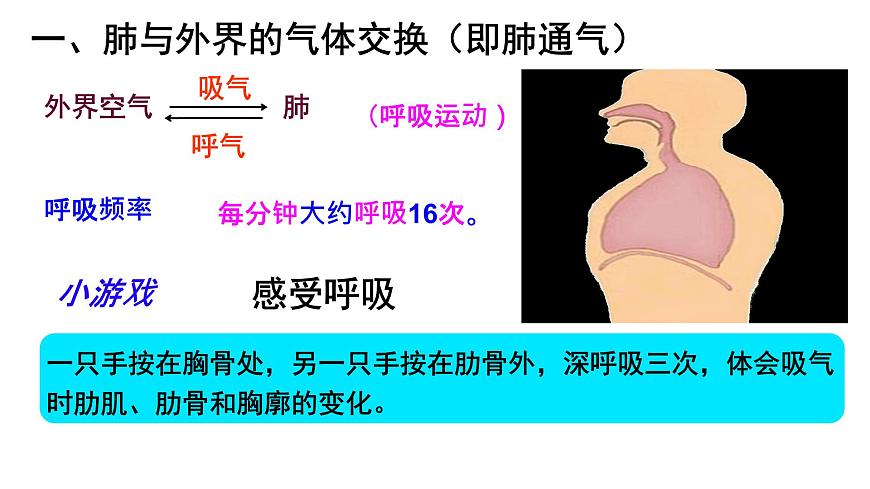 初中生物人教版（2024）七年级下册4.3.2 发生在肺内的气体交换 课件第7页