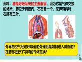 初中生物人教版（2024）七年级下册4.3.2 发生在肺内的气体交换 课件