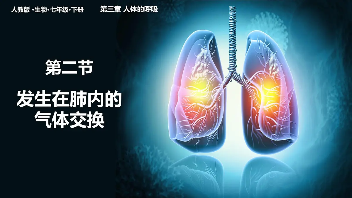 初中生物人教版（2024）七年级下册4.3.2 发生在肺内的气体交换 课件第1页