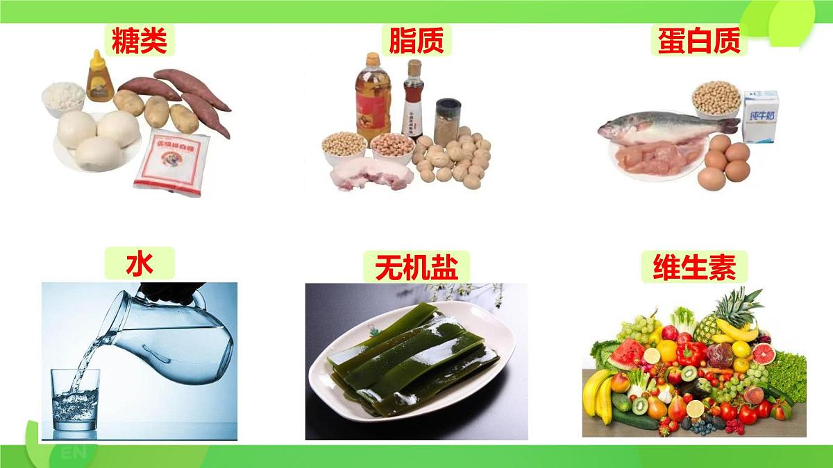 初中生物人教版（2024）七年级下册4.2.1 食物中的营养物质 课件第2页